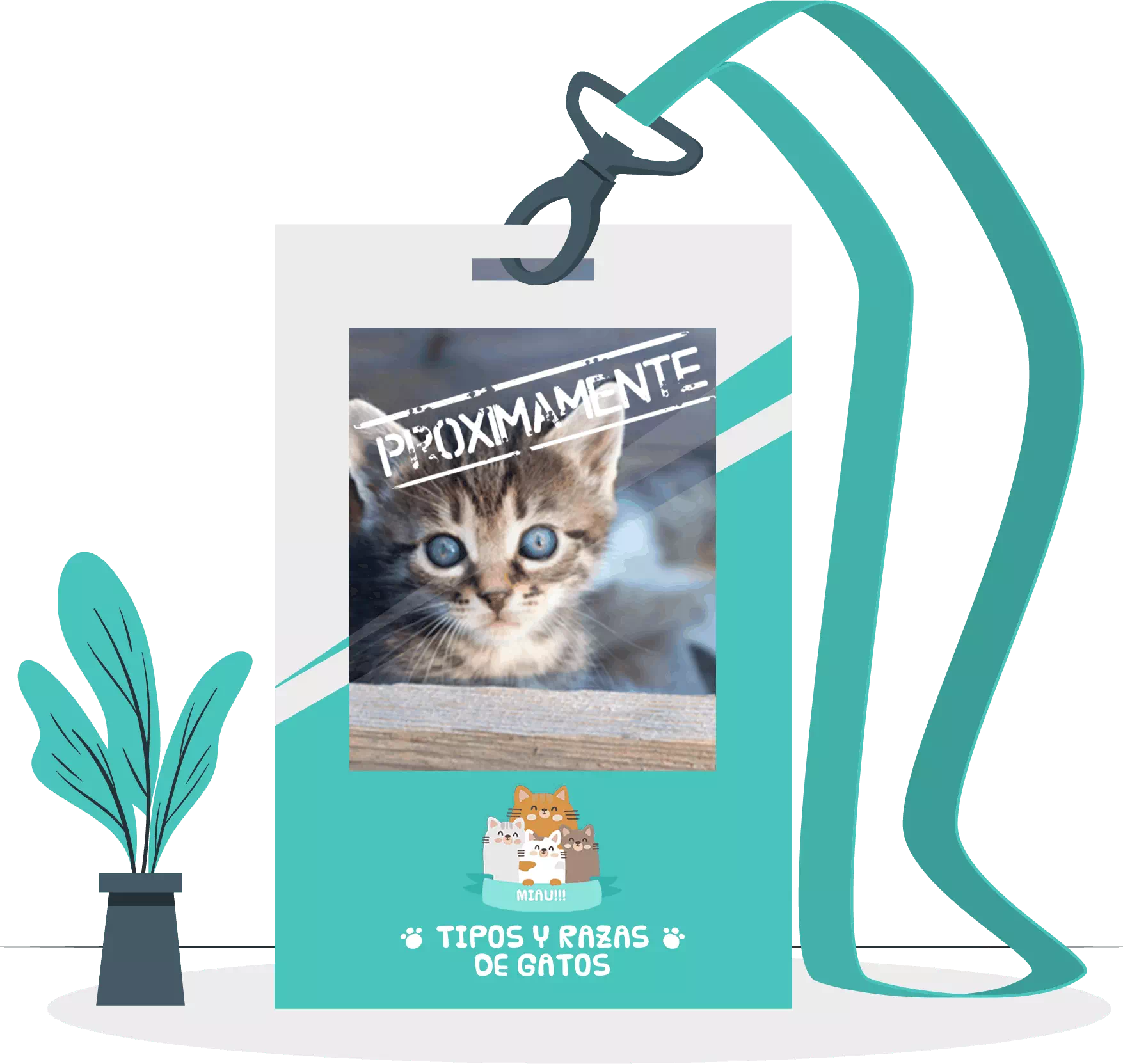 adoptar un gato ficha