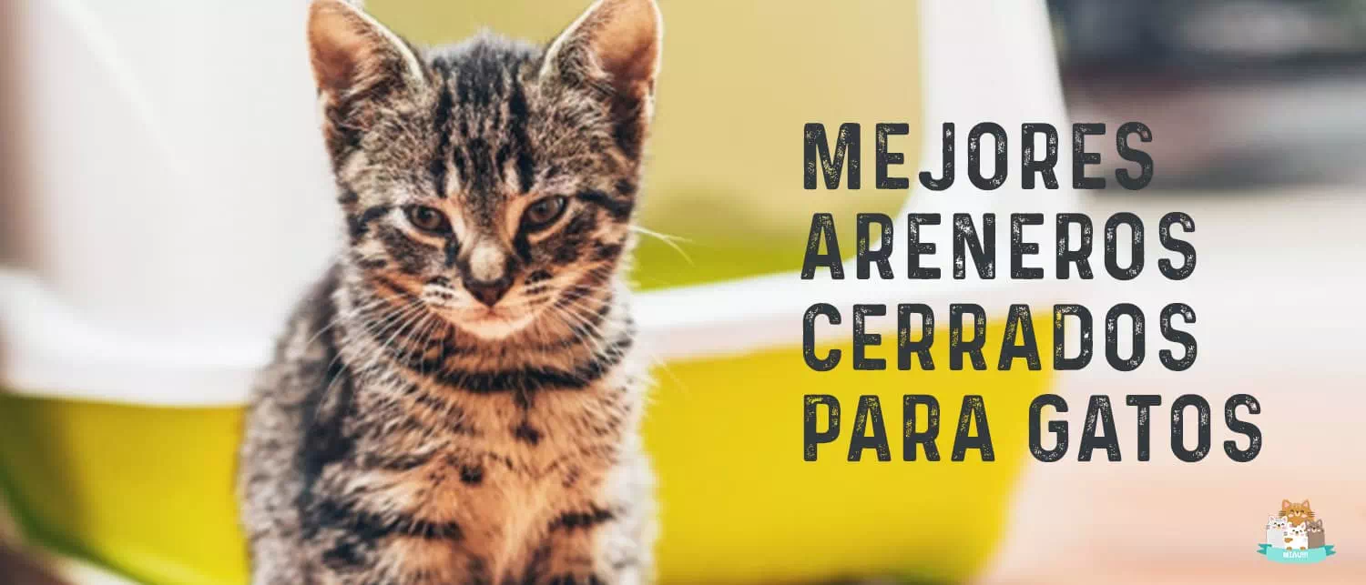 Mejores areneros cerrados para gatos
