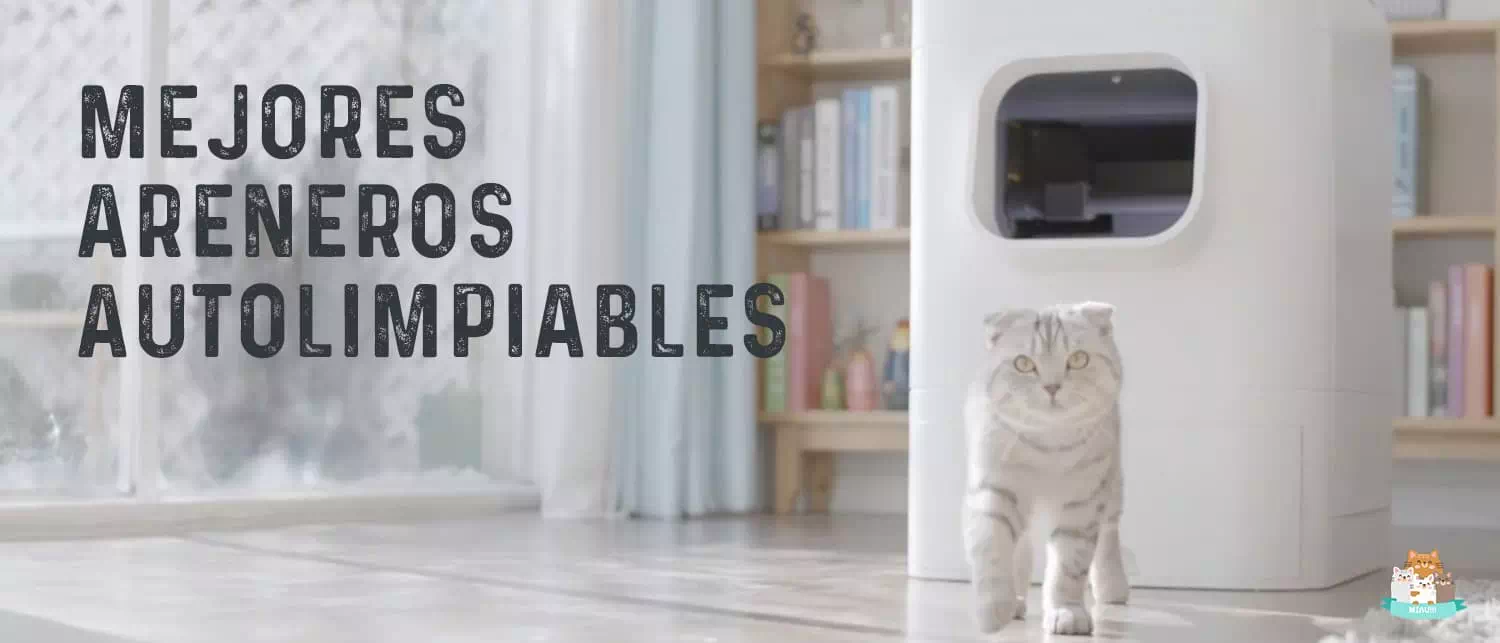 Mejores areneros autolimpiable para gatos