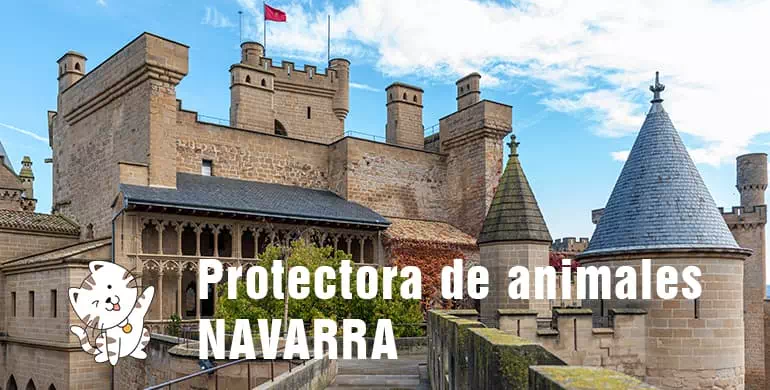 protectora de animales de navarra