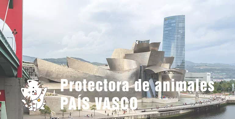 protectora de animales de País Vasco